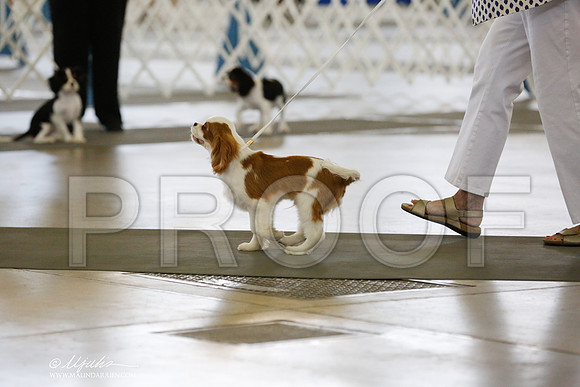 _RH_0611-DallasJul2014-HR3