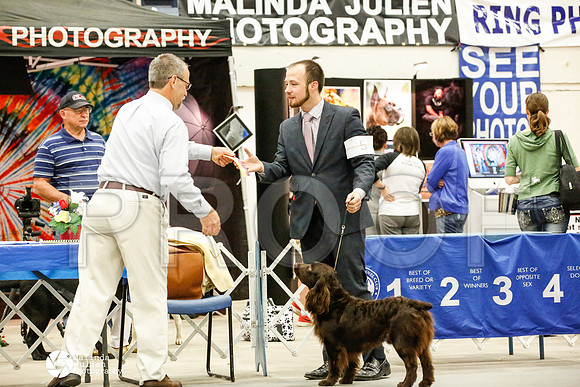 _JN_0451-AblnMay2014-web