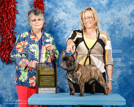 _ST_3693-2-AlamogordoOct2014-HR3