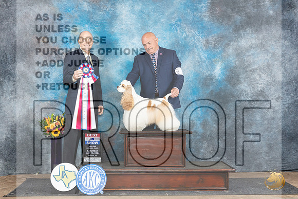 Cocker Spaniel #5 Sat BIS Judge Larry Abbott__JP_0105_Abilene_2024_HR3