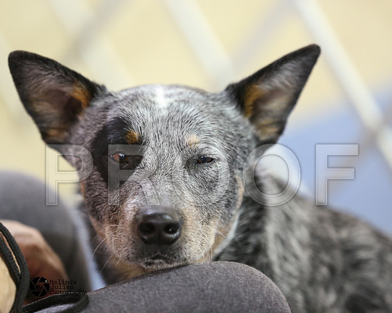ACD-9275-HtoJan2014-HR3