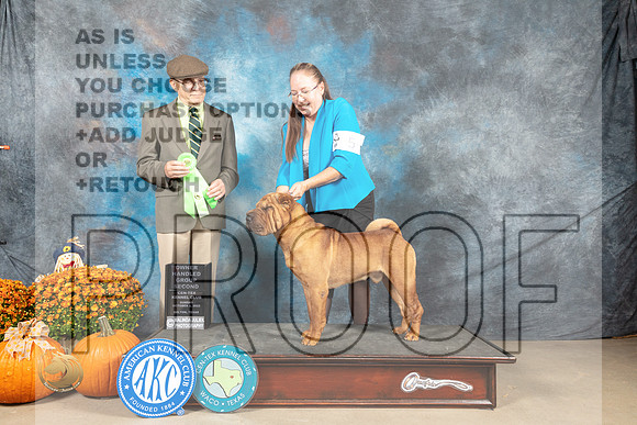 Chinese Shar Pei #5 Sun OHG3 Judge Dan Dowling_MJ_6903_Belton_2022_HR3