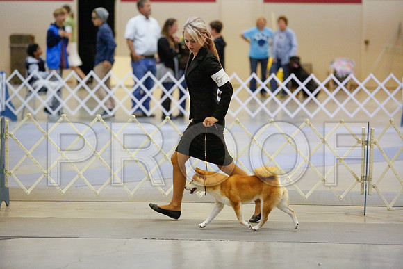 _JJ_8314-AmarilloSept2014-HR3