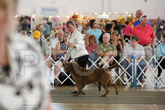 _JJ_1367-DallasJul2014-HR3