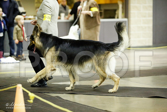 _JJ_6632-BeltonJan2015IABCA-HR3