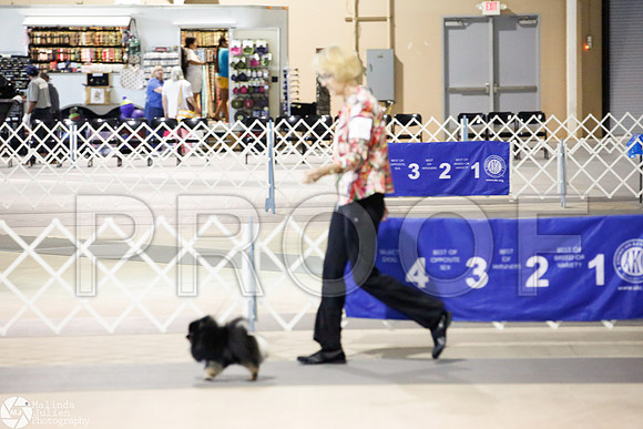 _JJ_4113-SanAntonioJul2014-HR