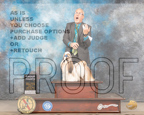 Shih Tzu #9 Sun G4 Judge Jim FehringMMJ_5748_Mdlnd2022_HR3