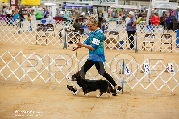 _JN_4956-TxArJun2014-HR3