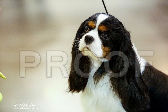 _JJ_7423-HstnJul2014-HR3