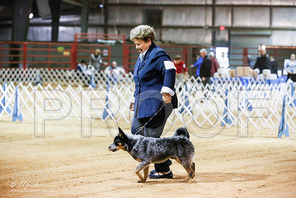 _JN_3973-2-GlenRoseJan2015-HR3