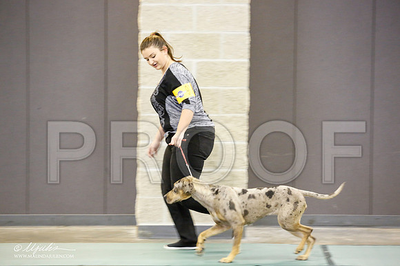 _JN_1350-BeltonJan2015-HR3