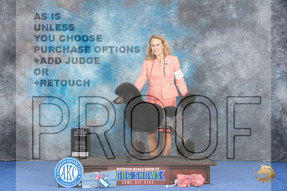 Poodle Standard #21 WED Best Judge James Moses__JP_7355_Houston_2024_HR3
