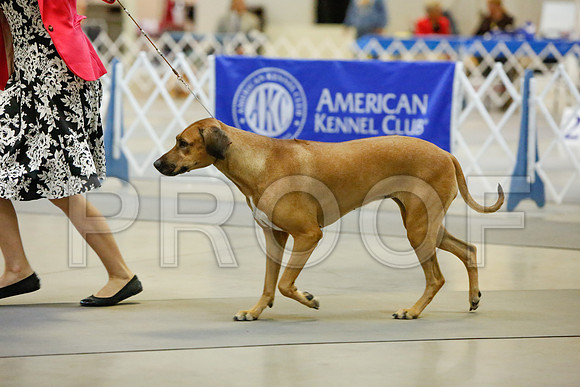_JJ_3799-AmarilloSept2014-HR3