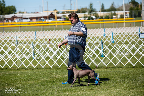 _JJ_8241-AlamogordoOct2014-HR3