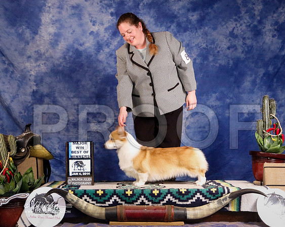 CorgPW-1750-GRJan14-HR