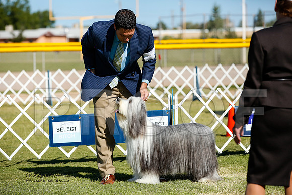 _JJ_2593-AlamogordoOct2014-HR3