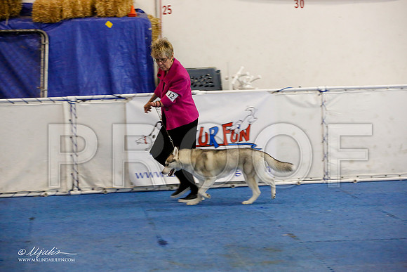 _M3_0613-AddisonHuskyMar2015-HR3