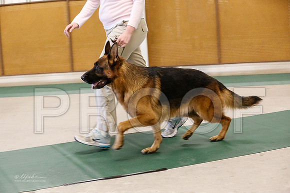 GSD-4935-NormanNov13-HR