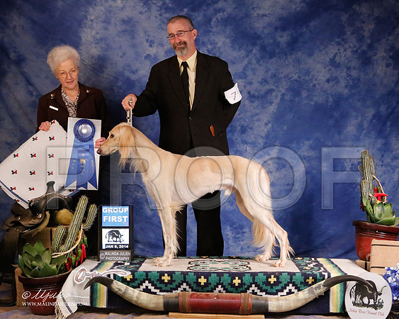 Saluki-5340-GRJan14-HR