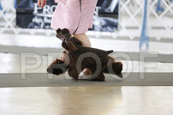 _RH_0033-DallasJul2014-HR3