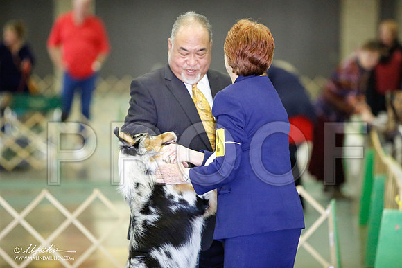 _JN_2800-BeltonJan2015-HR3
