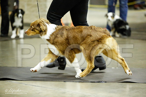 _JJ_6959-BeltonJan2015IABCA-HR3