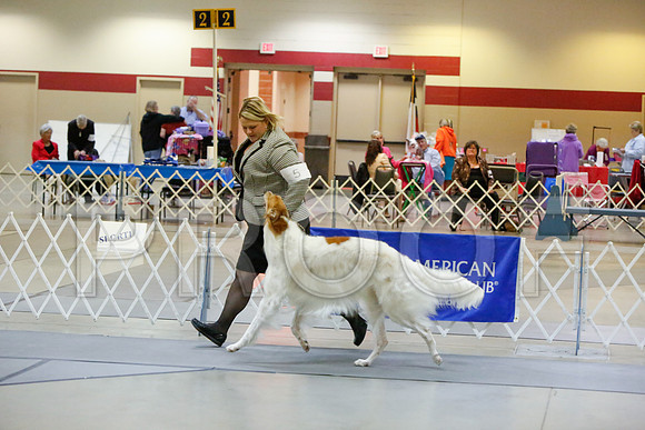 _JJ_3772-AmarilloSept2014-HR3