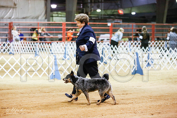 _JN_4410-2-GlenRoseJan2015-HR3