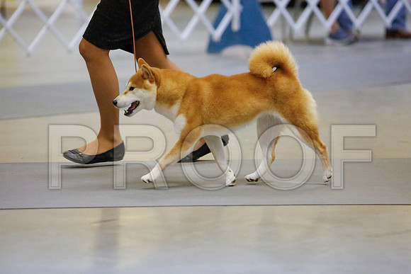 _JJ_8331-AmarilloSept2014-HR3