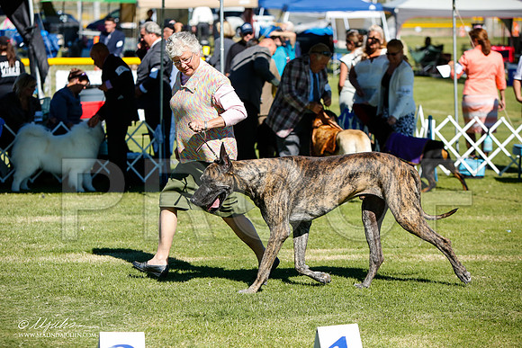 _JJ_5856-AlamogordoOct2014-HR3