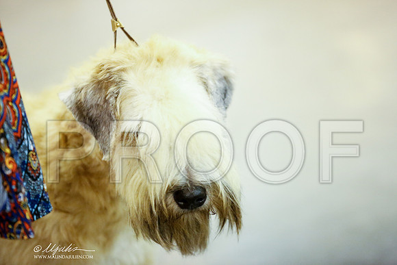 _JJ_6578-DalJul2014-HR3