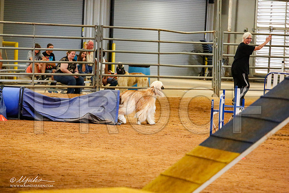 _JN_2919-AfgBeltonOct2014-HR3