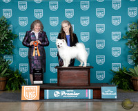 Amanda Innerst UKC Premier 2025
