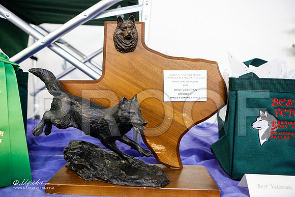 _ST_4155-AddisonHuskyMar2015-HR3