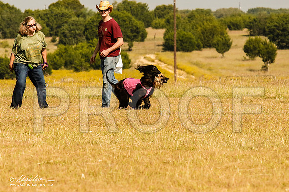_MJ_4342-AfgBeltonOct2014-HR3