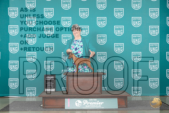 Miniature Pinscher # Wed GCH r__JP_2204_Premier_2024_HR3