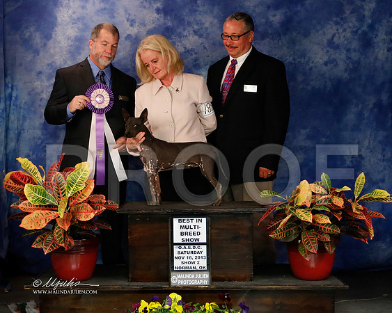 AmHrlss-8905-NormNov2013-HR