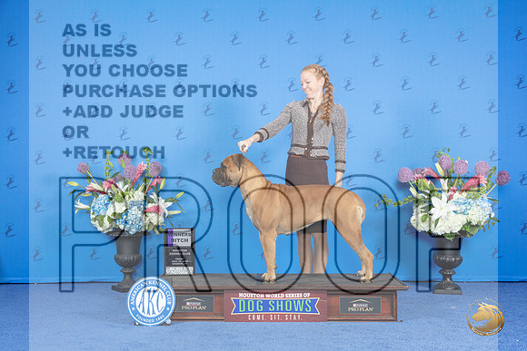 Bullmastiff #10 FRI WB Judge Ronald Freeman__JP_9533_Houston_2024_HR3