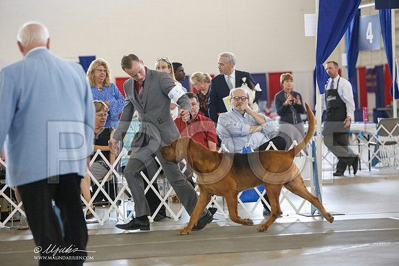 _JJ_3391-DallasJul2014-HR3