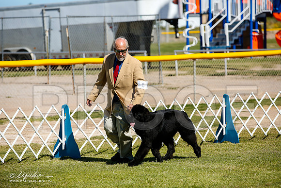 _JJ_0193-AlamogordoOct2014-HR3