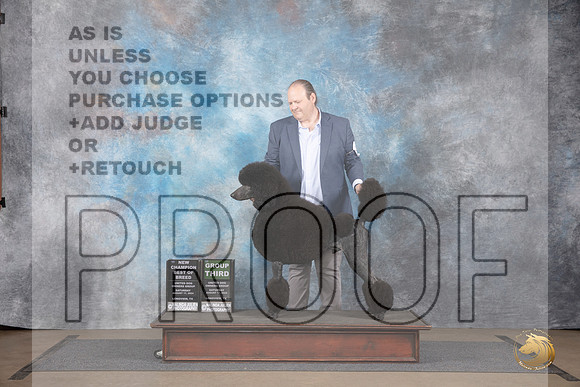 Poodle Standard #222 Sat BOB G3 NCh Judge Matthew Proctor__JP_2622_LongviewTX_2024_HR3