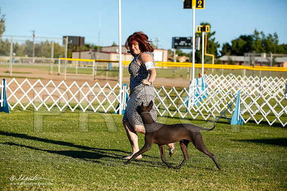 _JN_7909-AlamogordoOct2014-HR3