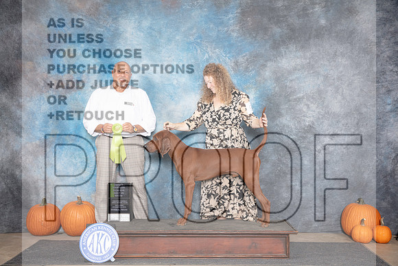 Redbone Coonhound #9 Sat OHRBIS Judge Hal Biermann__JP_9041_Humble_2024_HR3