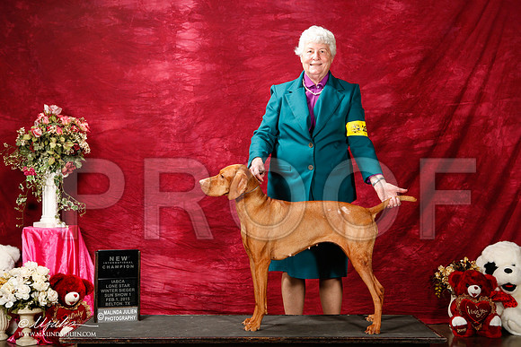 _ST_2917-2-BeltonJan2015IABCA-HR3