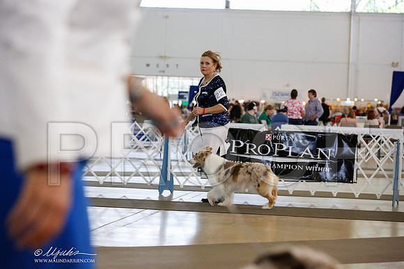 _JN_3178-DallasJul2014-HR3