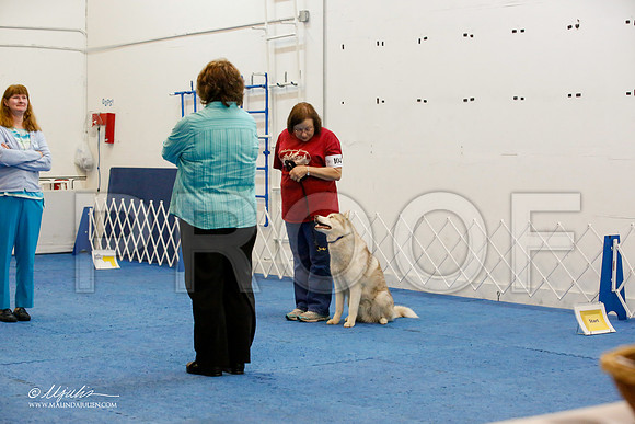 _M3_8084-AddisonHuskyMar2015-HR3