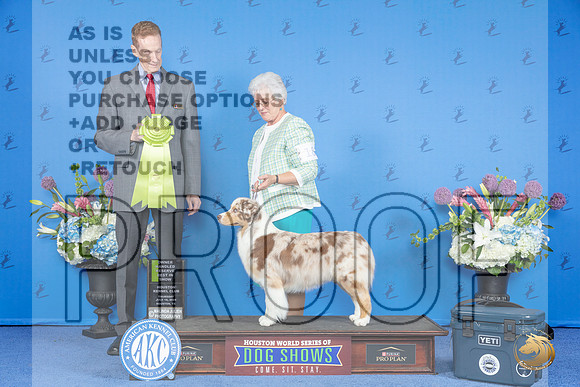 Australian Shepherd #18 THUR OHBIS Judge Ronald Freeman__JP_8524_Houston_2024_HR3