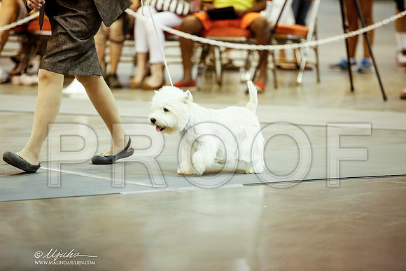 _JJ_6108-DalJul2014-HR3