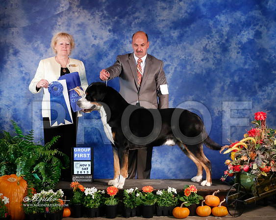 Swiss-3892-HstnNov13-HR