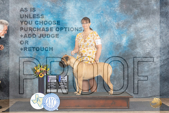 Bullmastiff #10 Fri RWB1 Judge Rick Gschwender__JP_9157_Abilene_2024_HR3